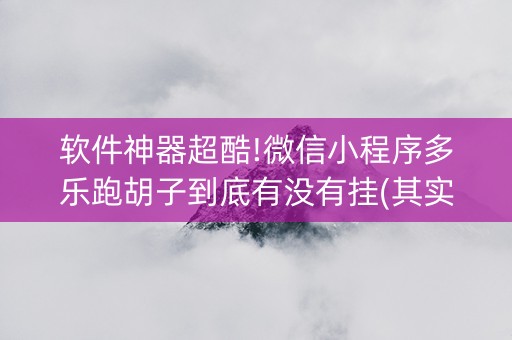 软件神器超酷!微信小程序多乐跑胡子到底有没有挂(其实真的确实有挂)