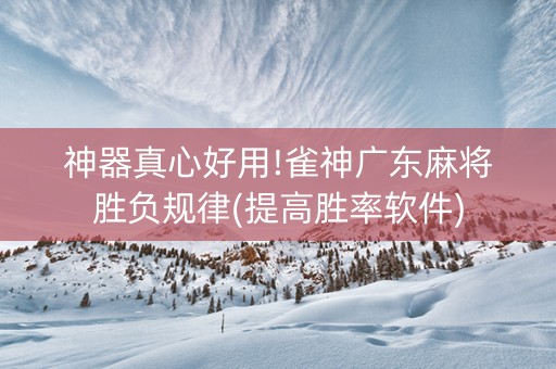 神器真心好用!雀神广东麻将胜负规律(提高胜率软件)