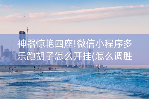神器惊艳四座!微信小程序多乐跑胡子怎么开挂(怎么调胜率)