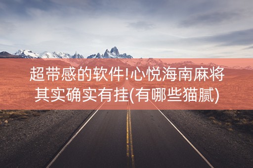 超带感的软件!心悦海南麻将其实确实有挂(有哪些猫腻)