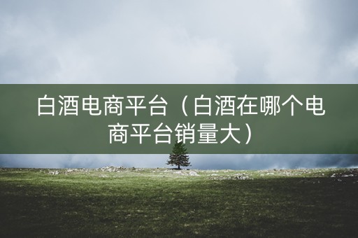 白酒电商平台（白酒在哪个电商平台销量大）