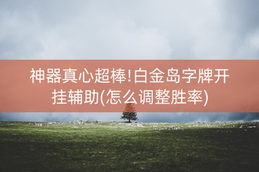 神器真心超棒!白金岛字牌开挂辅助(怎么调整胜率)