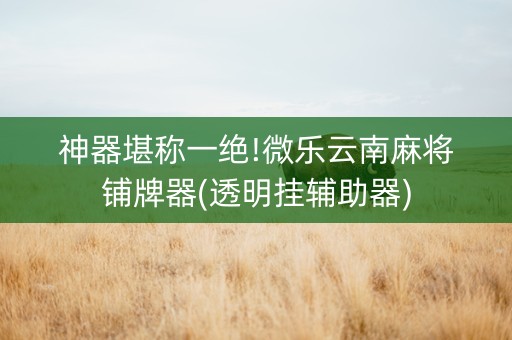 神器堪称一绝!微乐云南麻将铺牌器(透明挂辅助器)