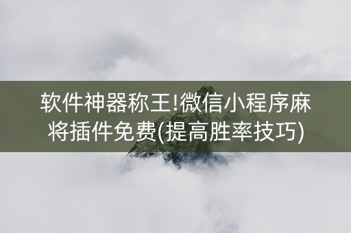 软件神器称王!微信小程序麻将插件免费(提高胜率技巧)