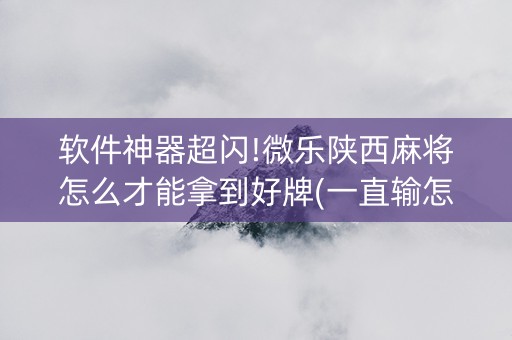软件神器超闪!微乐陕西麻将怎么才能拿到好牌(一直输怎么办)