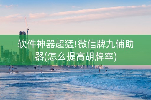 软件神器超猛!微信牌九辅助器(怎么提高胡牌率)