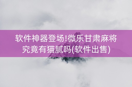 软件神器登场!微乐甘肃麻将究竟有猫腻吗(软件出售)