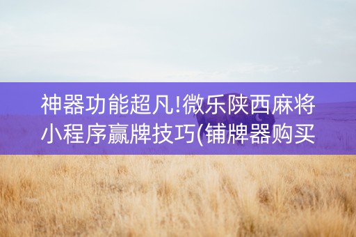 神器功能超凡!微乐陕西麻将小程序赢牌技巧(铺牌器购买)