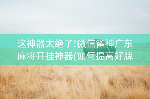 这神器太绝了!微信雀神广东麻将开挂神器(如何提高好牌几率)