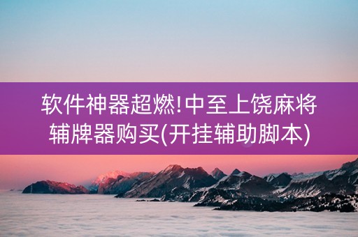 软件神器超燃!中至上饶麻将辅牌器购买(开挂辅助脚本)