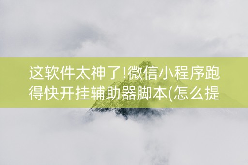 这软件太神了!微信小程序跑得快开挂辅助器脚本(怎么提高赢牌率)