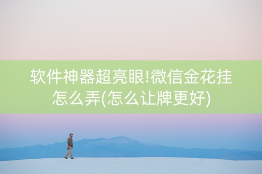 软件神器超亮眼!微信金花挂怎么弄(怎么让牌更好)
