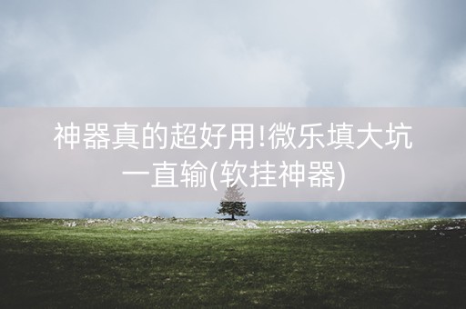 神器真的超好用!微乐填大坑一直输(软挂神器)