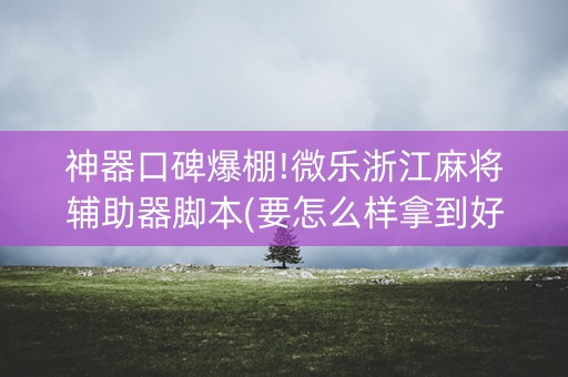 神器口碑爆棚!微乐浙江麻将辅助器脚本(要怎么样拿到好牌)