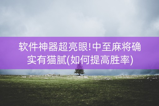 软件神器超亮眼!中至麻将确实有猫腻(如何提高胜率)