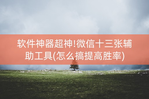 软件神器超神!微信十三张辅助工具(怎么搞提高胜率)