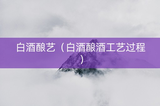 白酒酿艺（白酒酿酒工艺过程）