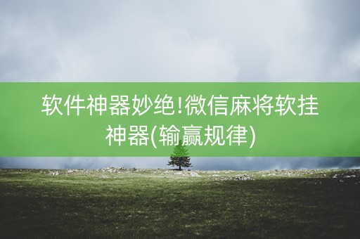 软件神器妙绝!微信麻将软挂神器(输赢规律)