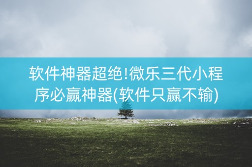软件神器超绝!微乐三代小程序必赢神器(软件只赢不输)