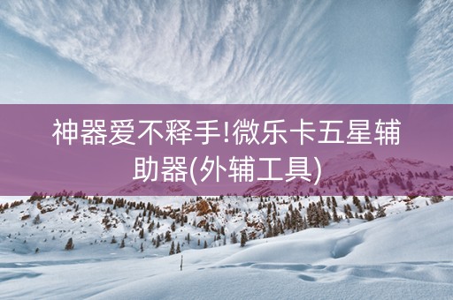 神器爱不释手!微乐卡五星辅助器(外辅工具)