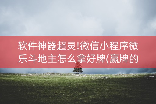 软件神器超灵!微信小程序微乐斗地主怎么拿好牌(赢牌的技巧)