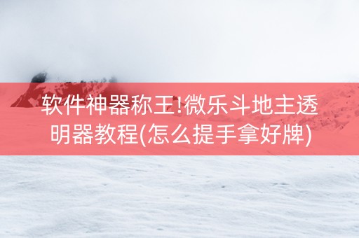 软件神器称王!微乐斗地主透明器教程(怎么提手拿好牌)
