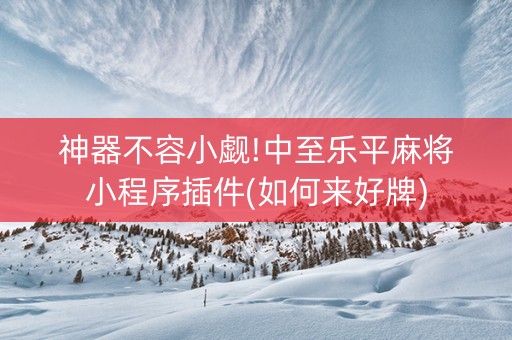 神器不容小觑!中至乐平麻将小程序插件(如何来好牌)