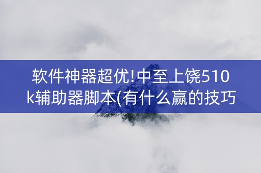 软件神器超优!中至上饶510k辅助器脚本(有什么赢的技巧)