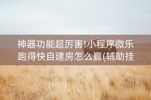 神器功能超厉害!小程序微乐跑得快自建房怎么赢(辅助挂发牌规律)