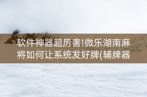软件神器超厉害!微乐湖南麻将如何让系统发好牌(辅牌器购买)
