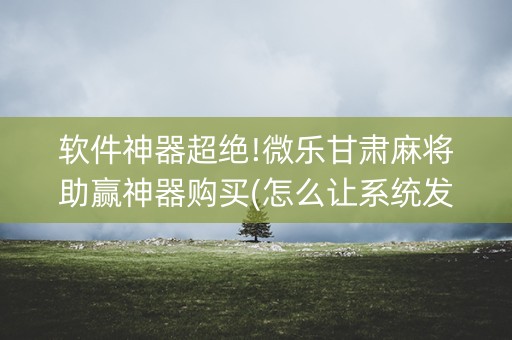 软件神器超绝!微乐甘肃麻将助赢神器购买(怎么让系统发好牌)