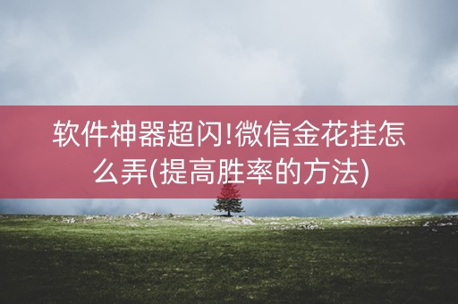 软件神器超闪!微信金花挂怎么弄(提高胜率的方法)