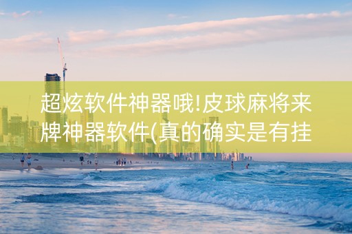 超炫软件神器哦!皮球麻将来牌神器软件(真的确实是有挂)
