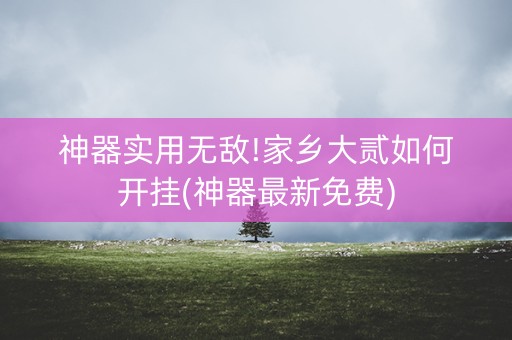 神器实用无敌!家乡大贰如何开挂(神器最新免费)
