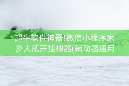 超牛软件神器!微信小程序家乡大贰开挂神器(辅助器通用版)