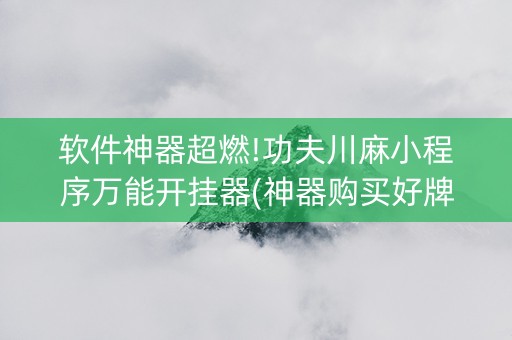 软件神器超燃!功夫川麻小程序万能开挂器(神器购买好牌规律)