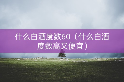 什么白酒度数60（什么白酒度数高又便宜）