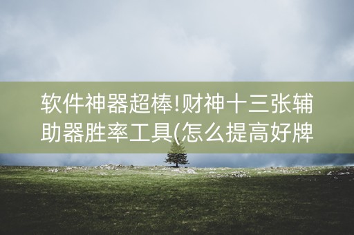 软件神器超棒!财神十三张辅助器胜率工具(怎么提高好牌率)