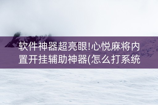 软件神器超亮眼!心悦麻将内置开挂辅助神器(怎么打系统才能给好牌)