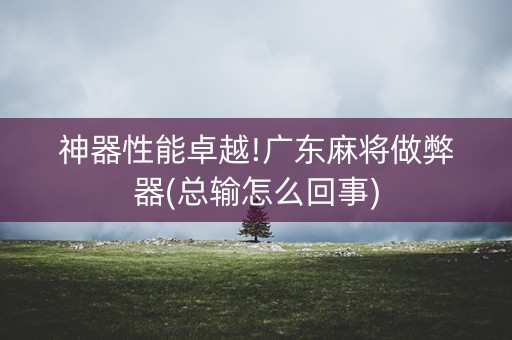 神器性能卓越!广东麻将做弊器(总输怎么回事)