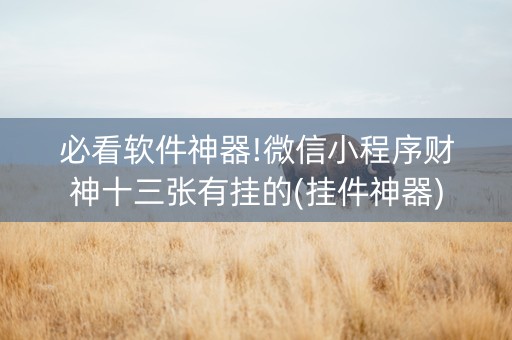 必看软件神器!微信小程序财神十三张有挂的(挂件神器)