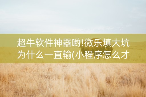 超牛软件神器哟!微乐填大坑为什么一直输(小程序怎么才会赢)
