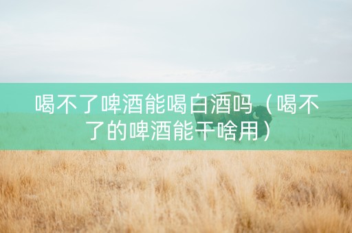 喝不了啤酒能喝白酒吗（喝不了的啤酒能干啥用）