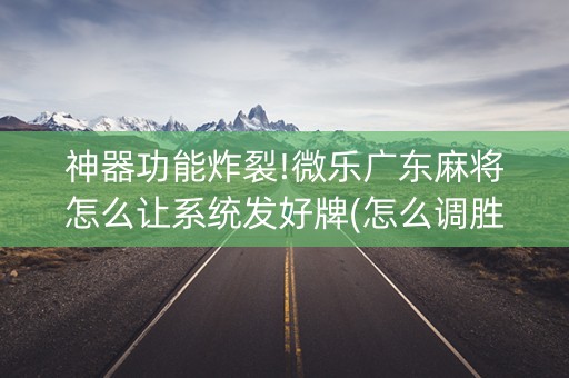 神器功能炸裂!微乐广东麻将怎么让系统发好牌(怎么调胜率)