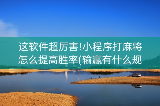 这软件超厉害!小程序打麻将怎么提高胜率(输赢有什么规律)