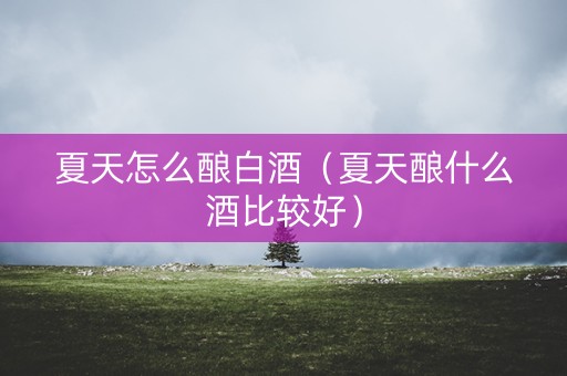 夏天怎么酿白酒（夏天酿什么酒比较好）