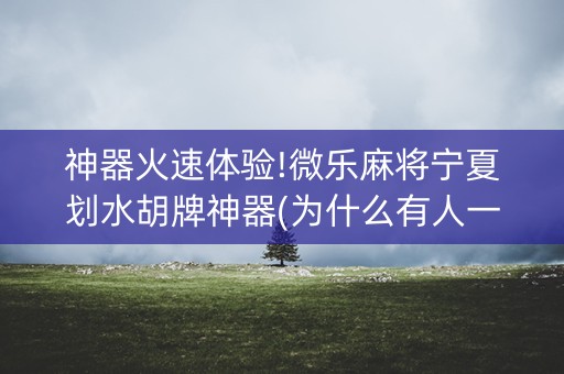 神器火速体验!微乐麻将宁夏划水胡牌神器(为什么有人一直赢)