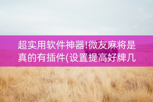超实用软件神器!微友麻将是真的有插件(设置提高好牌几率)