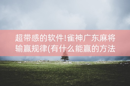超带感的软件!雀神广东麻将输赢规律(有什么能赢的方法)