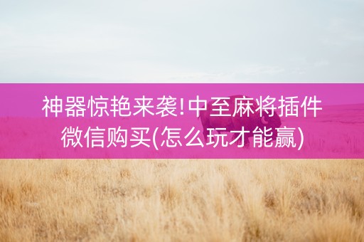 神器惊艳来袭!中至麻将插件微信购买(怎么玩才能赢)